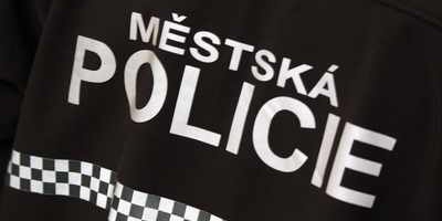 mestska policie